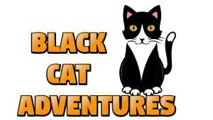 Black Cat Adventures Verssion 1 Capture the Fire Fly Game (Polished Student Project)